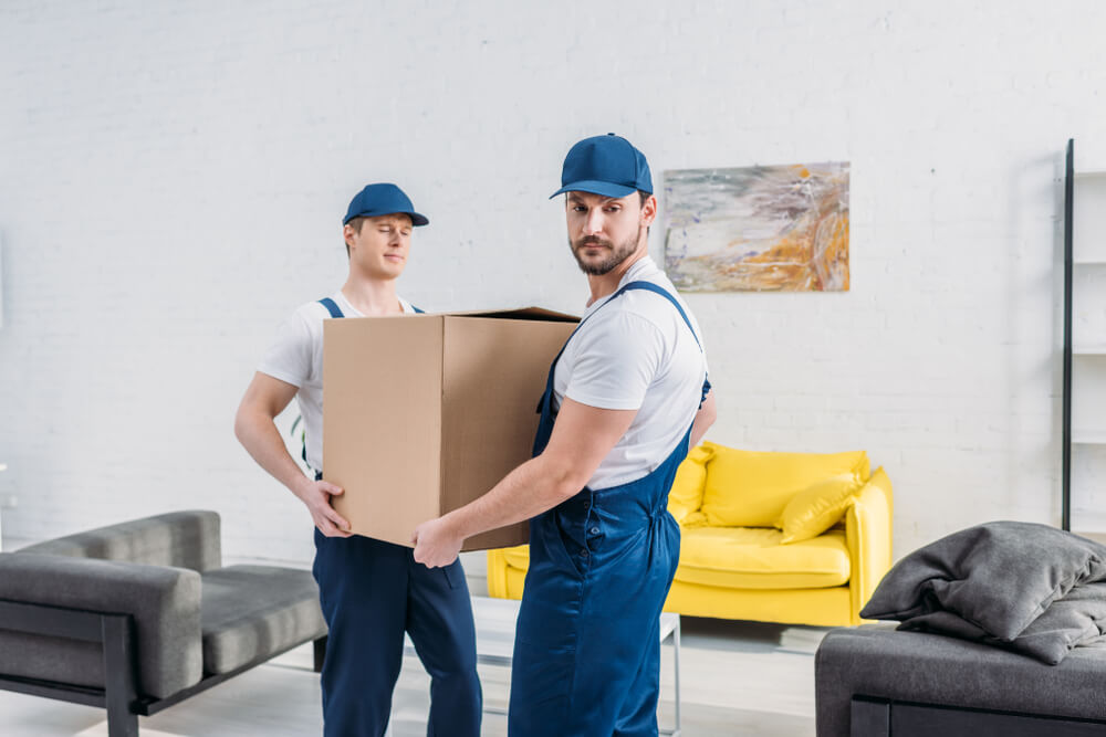 Stress-Free Moving Strategies Cape Coral, FL